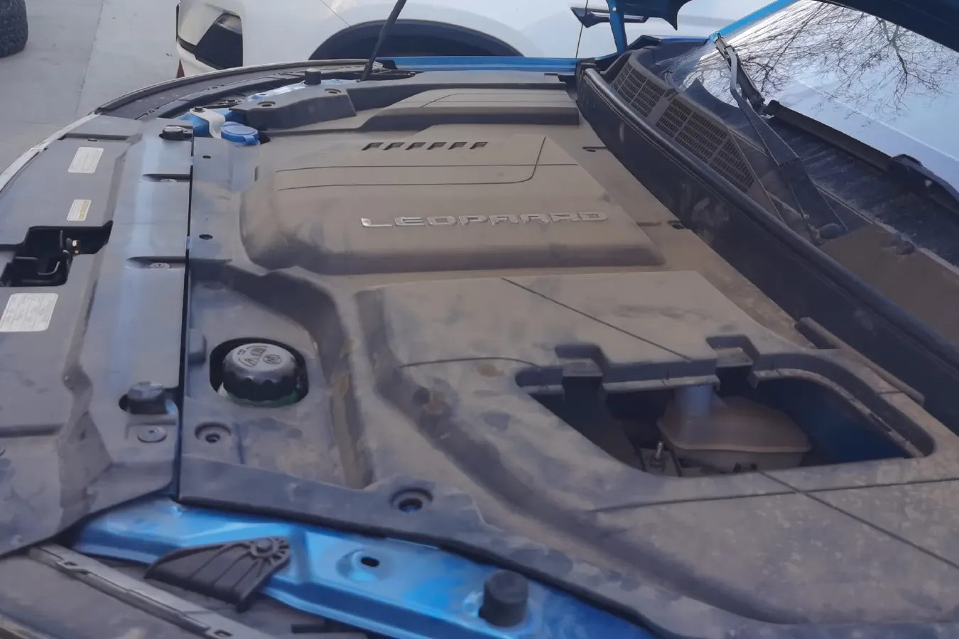 2018 Leopaard CS9 BEV 48.18KWH,autocango,china used car exporter,china ev exporter,chinese used car exporter,chinese used ev exporter