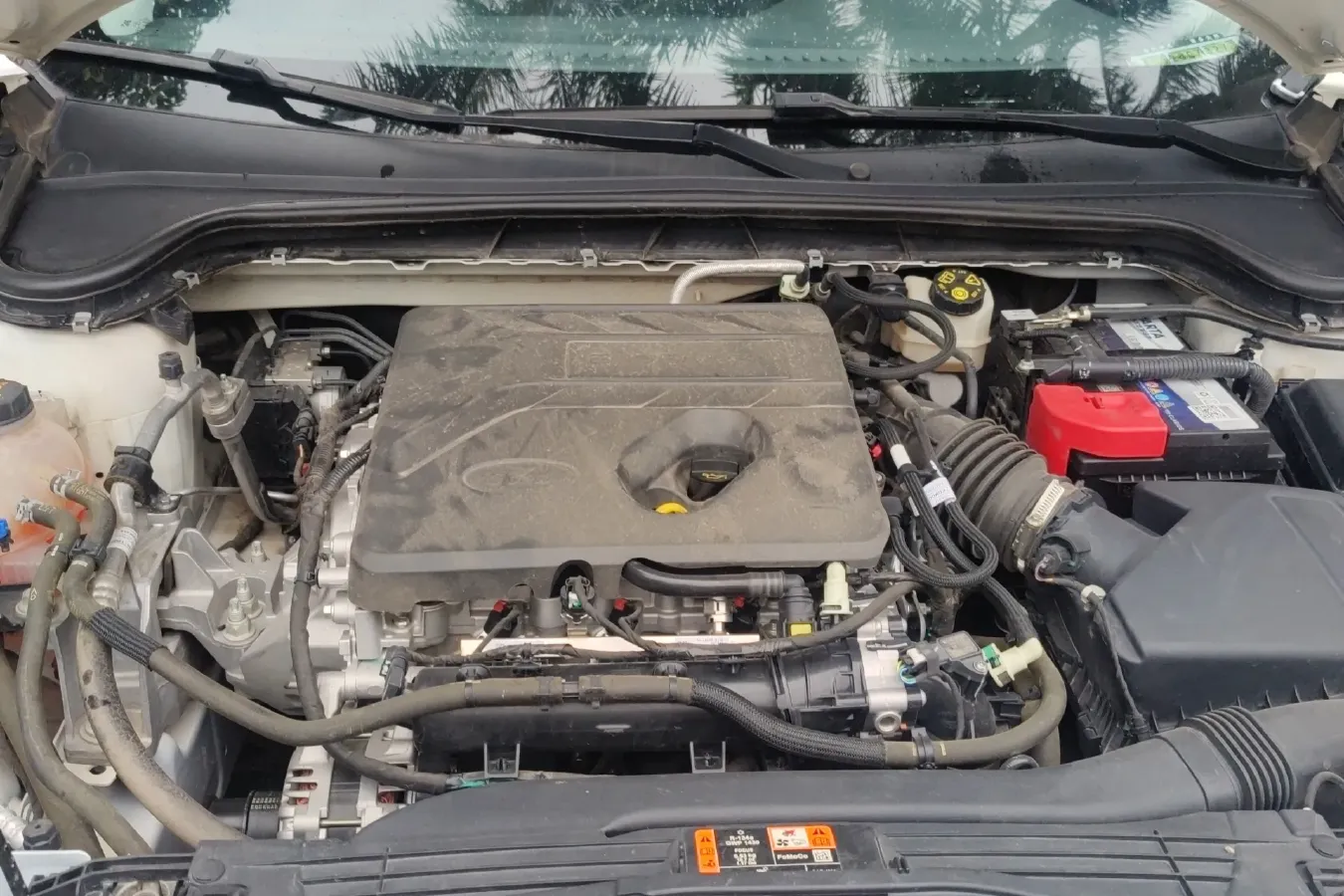 2021 Ford Focus Active 1.5T 174HP L3 8AT,autocango,china used car exporter,china ev exporter,chinese used car exporter,chinese used ev exporter