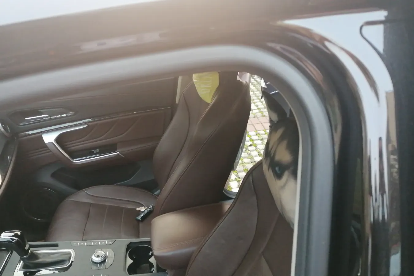 2017 WEY VV5 2.0T 197HP L4 7DCT,autocango,china used car exporter,china ev exporter,chinese used car exporter,chinese used ev exporter