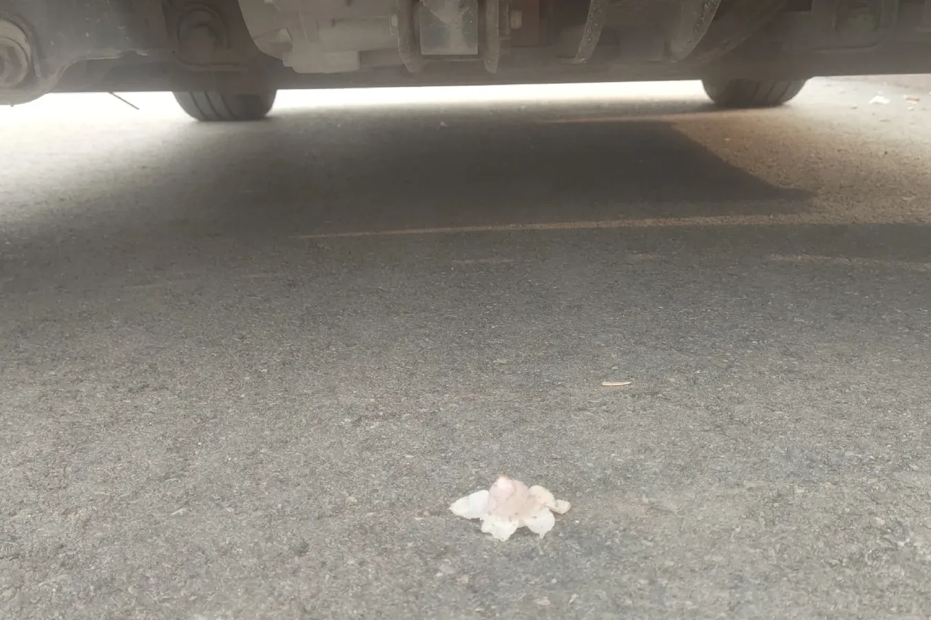 2016 Zotye E200 BEV 24.5KWH,autocango,china used car exporter,china ev exporter,chinese used car exporter,chinese used ev exporter