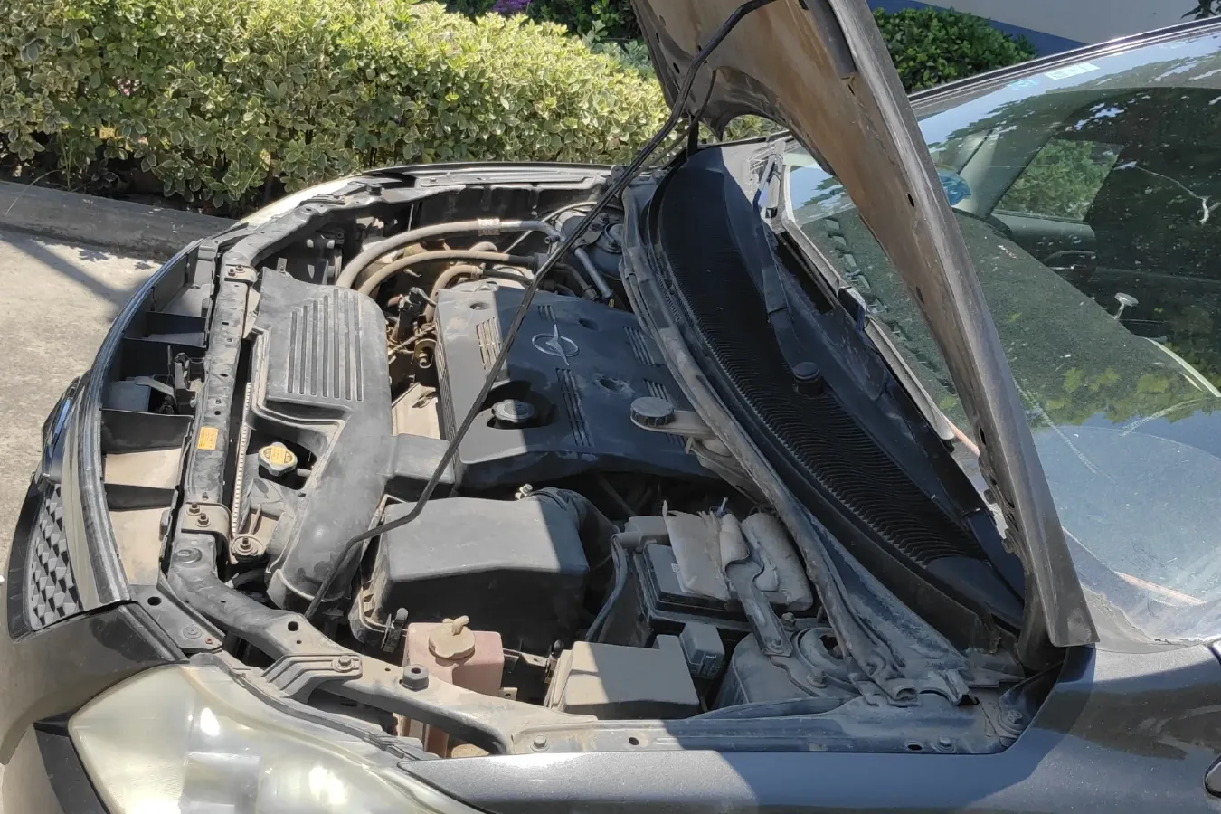 2010 HaiMa Preema 1.6L 120HP L4 5MT,autocango,china used car exporter,china ev exporter,chinese used car exporter,chinese used ev exporter