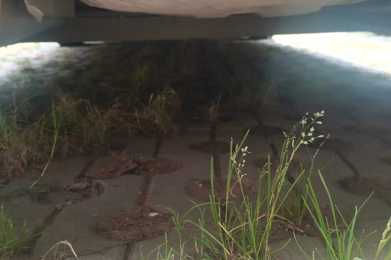 2013 Venucia R50 1.6L 117HP L4 4AT,autocango,china used car exporter,china ev exporter,chinese used car exporter,chinese used ev exporter