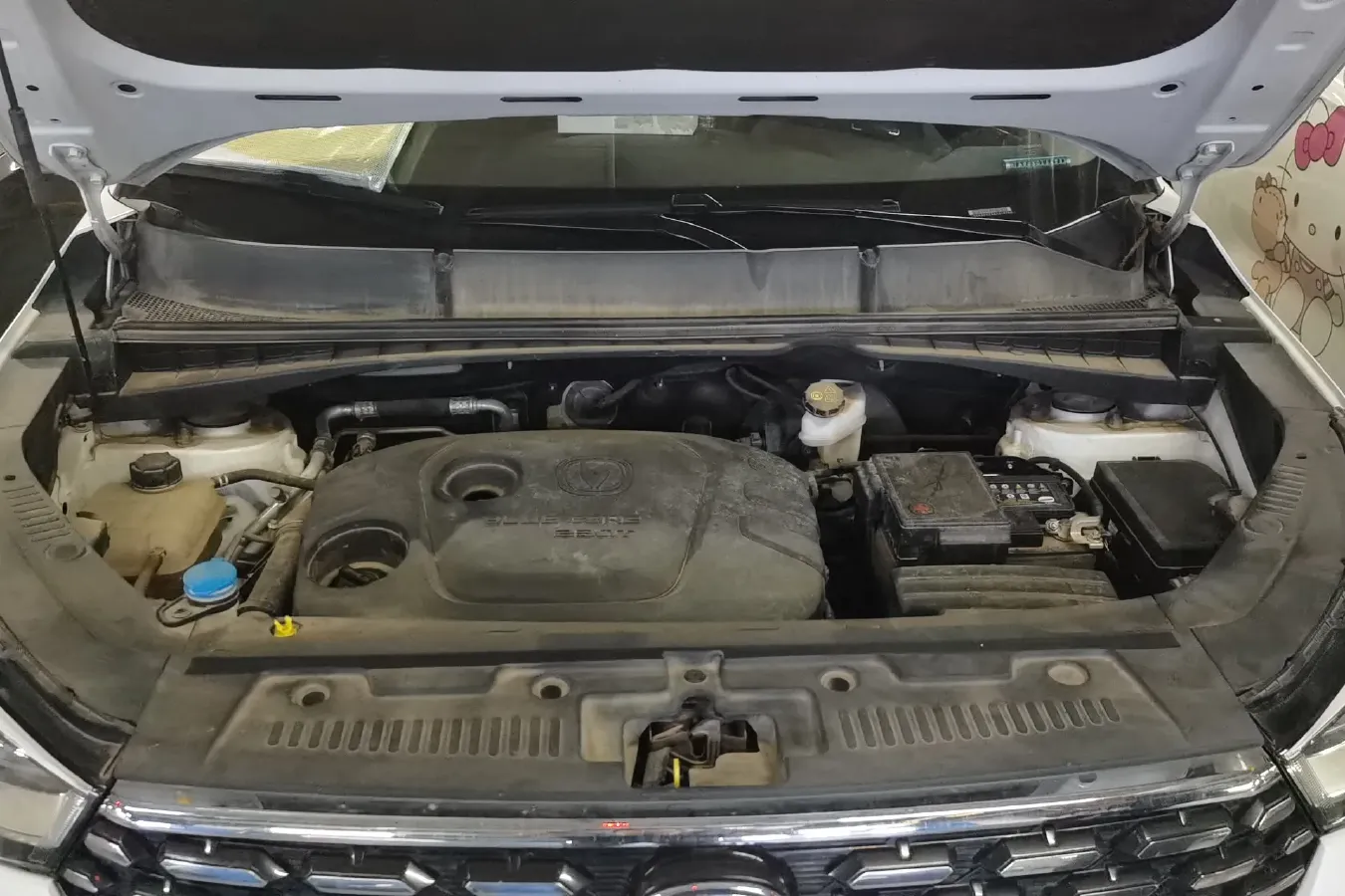 2019 ChangAn CS55 1.5T 156HP L4 6MT,autocango,china used car exporter,china ev exporter,chinese used car exporter,chinese used ev exporter