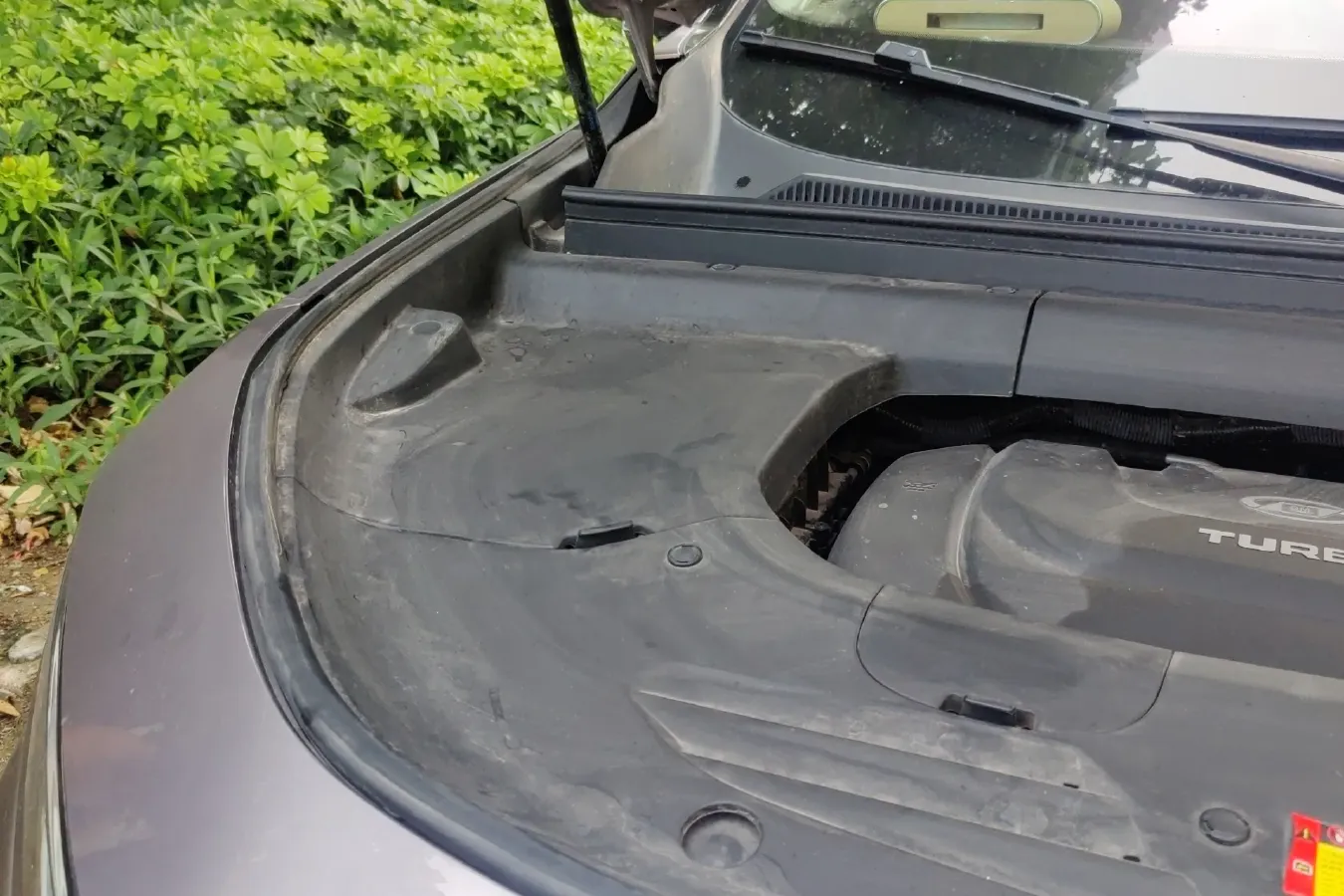 2019 BaoJun RS-5 1.5T 147HP L4 CVT,autocango,china used car exporter,china ev exporter,chinese used car exporter,chinese used ev exporter