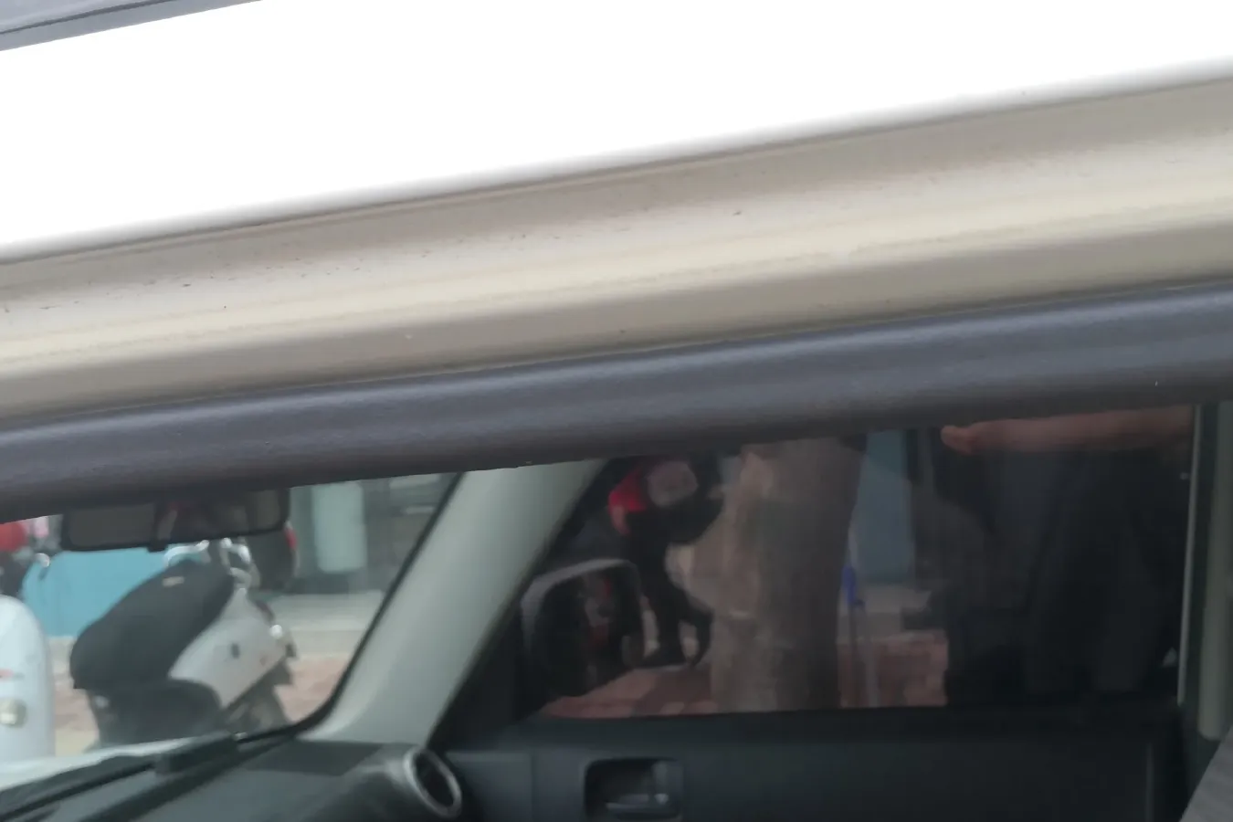 2012 Great Wall M2 1.5L 106HP L4 5MT,autocango,china used car exporter,china ev exporter,chinese used car exporter,chinese used ev exporter