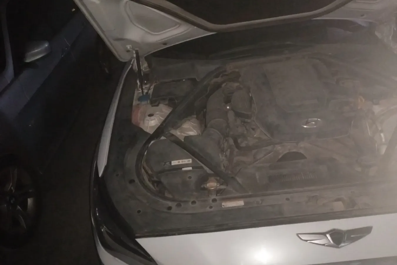 2015 Hyundai Cenesis 3.0L 257HP V6 8AT,autocango,china used car exporter,china ev exporter,chinese used car exporter,chinese used ev exporter