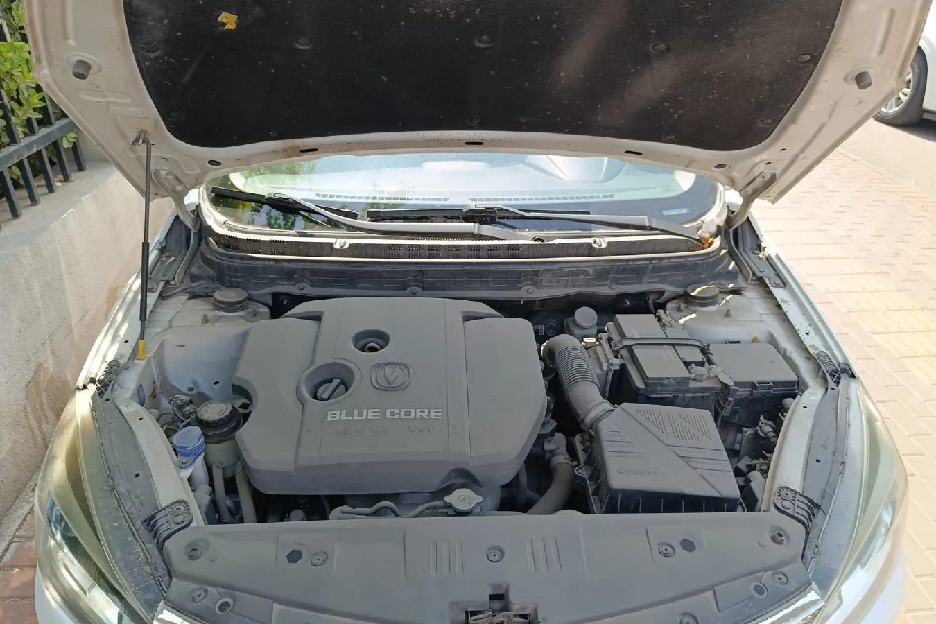 2015 ChangAn Alsvin V7 1.6L 124HP L4 5MT,autocango,china used car exporter,china ev exporter,chinese used car exporter,chinese used ev exporter