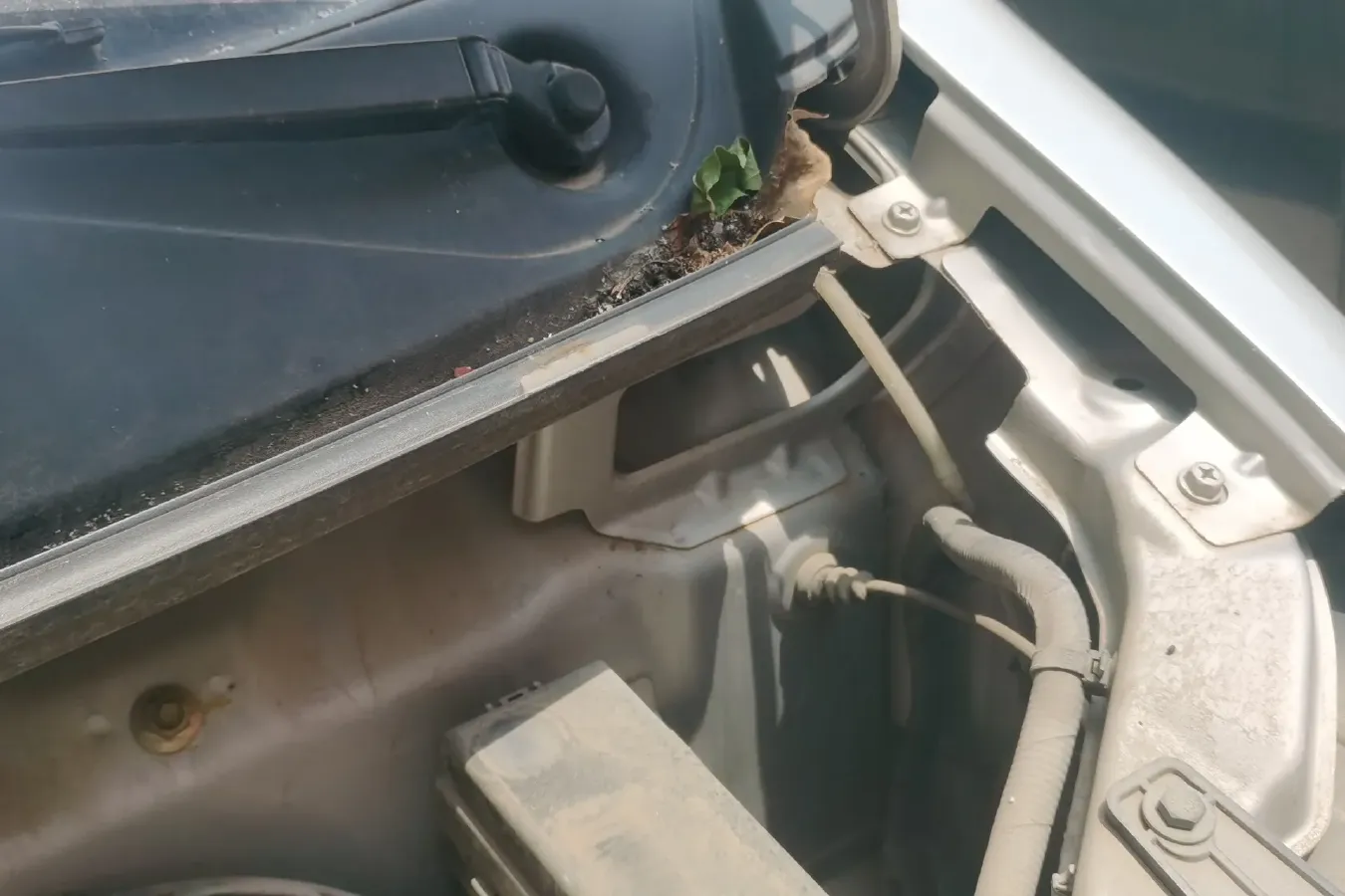 2018 ChangAn KuaYue New Leopard T3 1.5L 112HP L4 5MT,autocango,china used car exporter,china ev exporter,chinese used car exporter,chinese used ev exporter