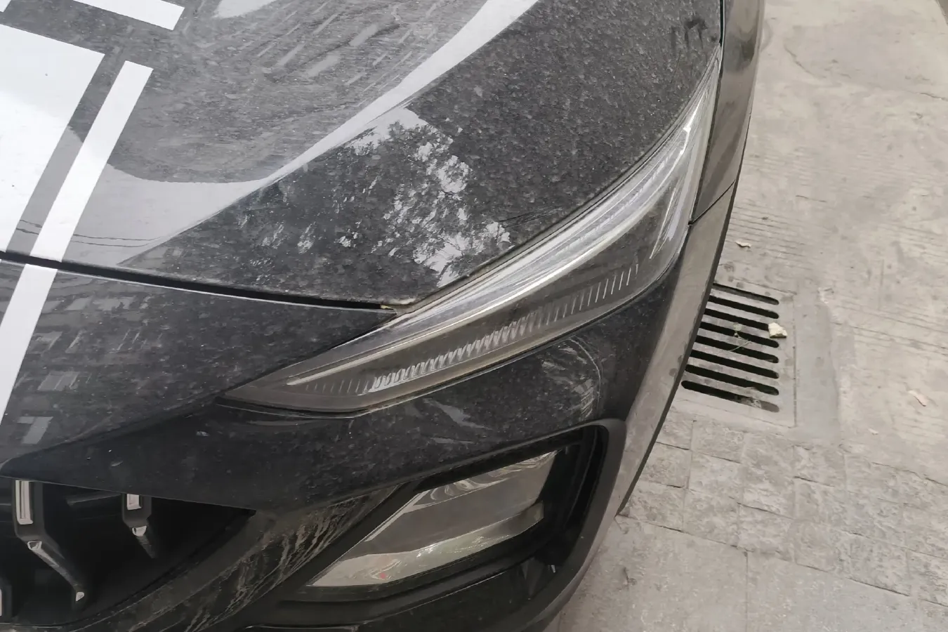 2021 Sehol X8 1.5T 184HP L4 6DCT,autocango,china used car exporter,china ev exporter,chinese used car exporter,chinese used ev exporter