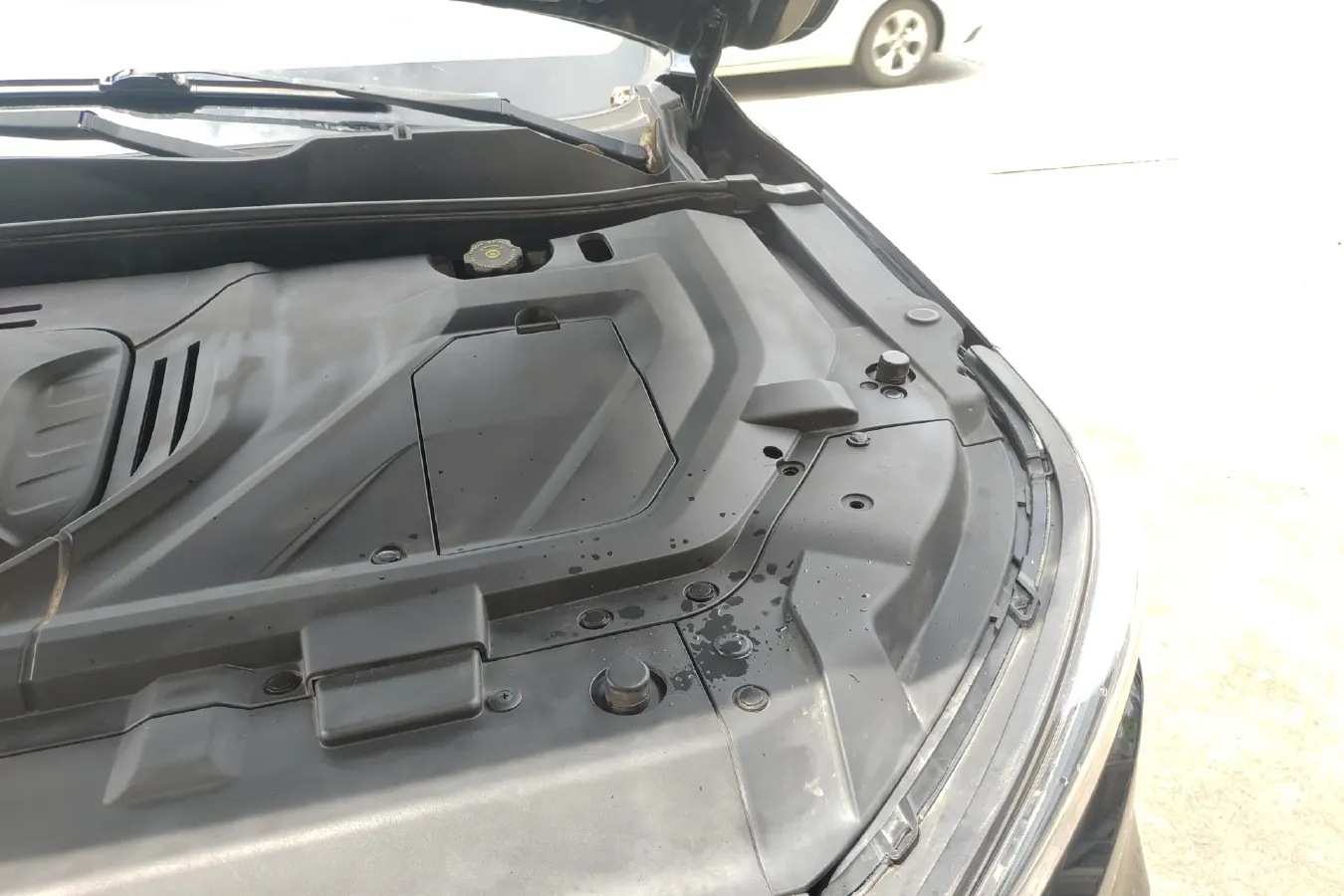 2018 Leopaard Mattu 1.6T 200HP L4 6DCT,autocango,china used car exporter,china ev exporter,chinese used car exporter,chinese used ev exporter