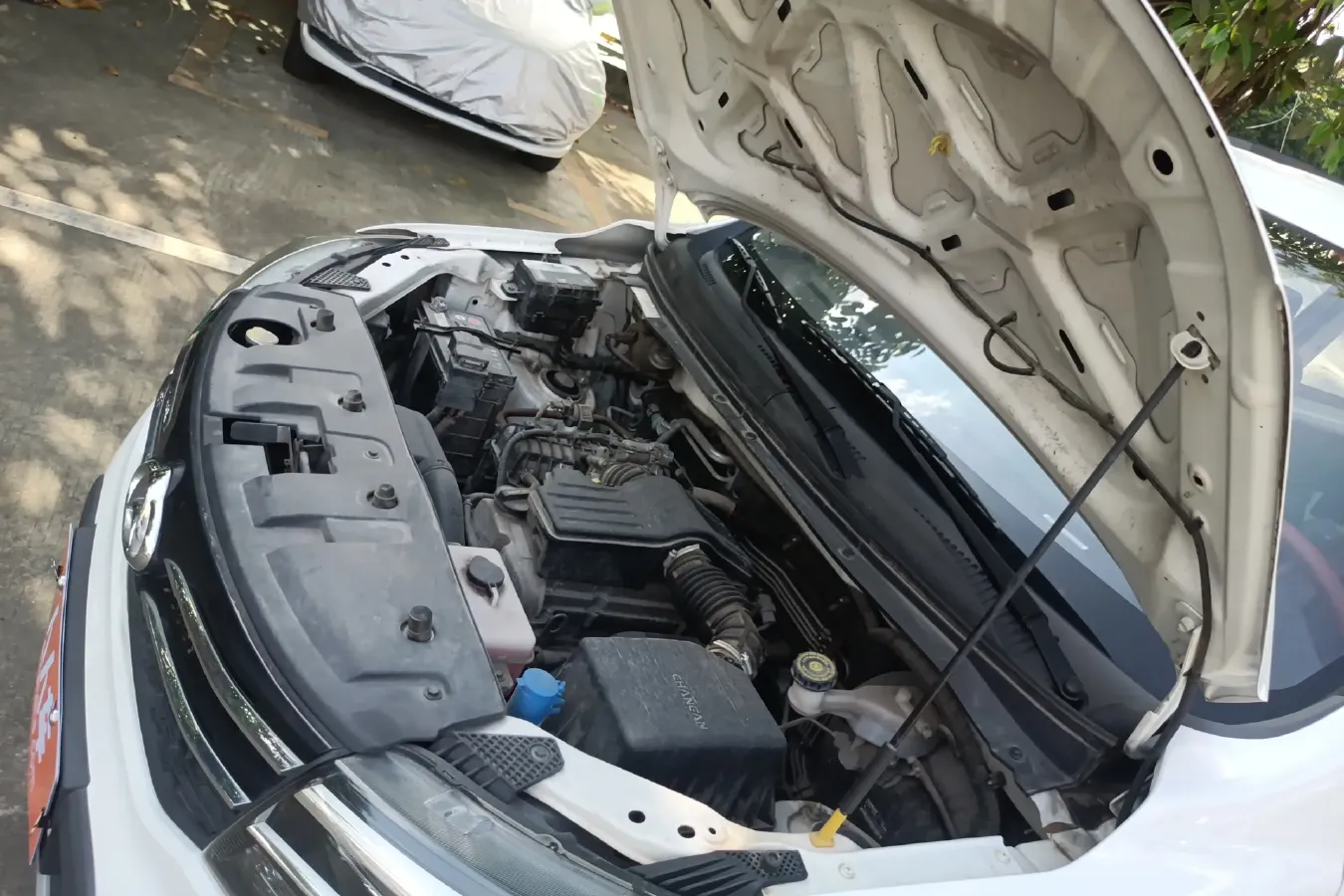 2019 ChangAn Kaicene Honor S 1.5L 107HP L4 5MT,autocango,china used car exporter,china ev exporter,chinese used car exporter,chinese used ev exporter