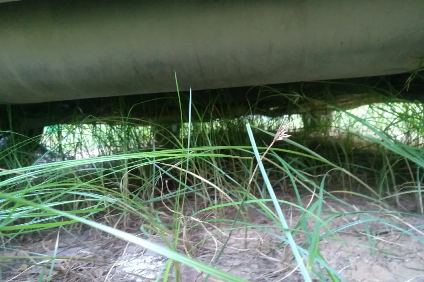 2015 FAW Jumpal D60 1.5L 102HP L4 5MT,autocango,china used car exporter,china ev exporter,chinese used car exporter,chinese used ev exporter