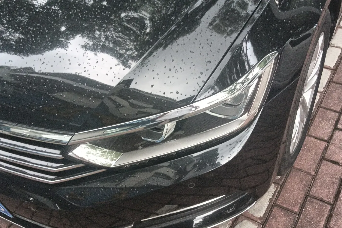 2019 Volkswagen Magotan 2.0T 186HP L4 7DCT,autocango,china used car exporter,china ev exporter,chinese used car exporter,chinese used ev exporter