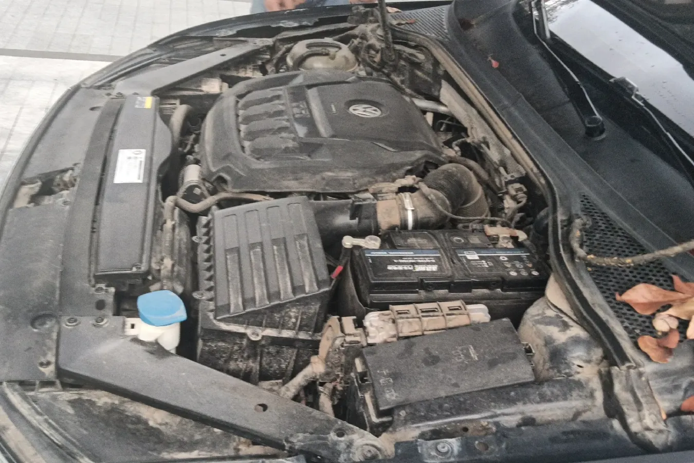 2019 Volkswagen Magotan 2.0T 186HP L4 7DCT,autocango,china used car exporter,china ev exporter,chinese used car exporter,chinese used ev exporter