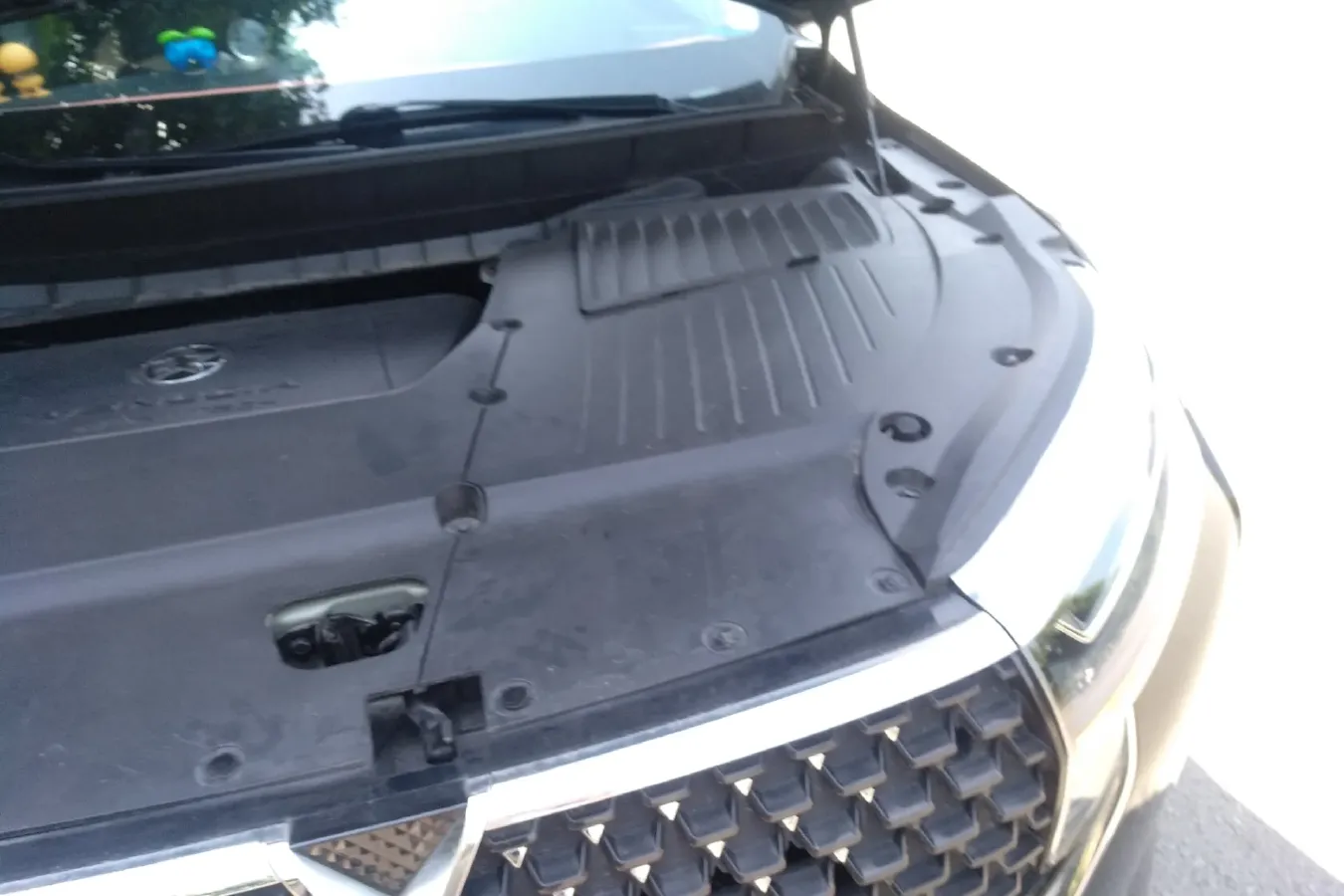 2020 Venucia Star 1.5T 190HP L4 7DCT,autocango,china used car exporter,china ev exporter,chinese used car exporter,chinese used ev exporter