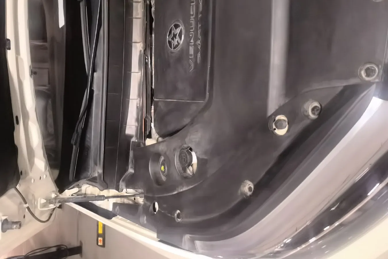 2020 Venucia Star 1.5T 190HP L4 7DCT,autocango,china used car exporter,china ev exporter,chinese used car exporter,chinese used ev exporter