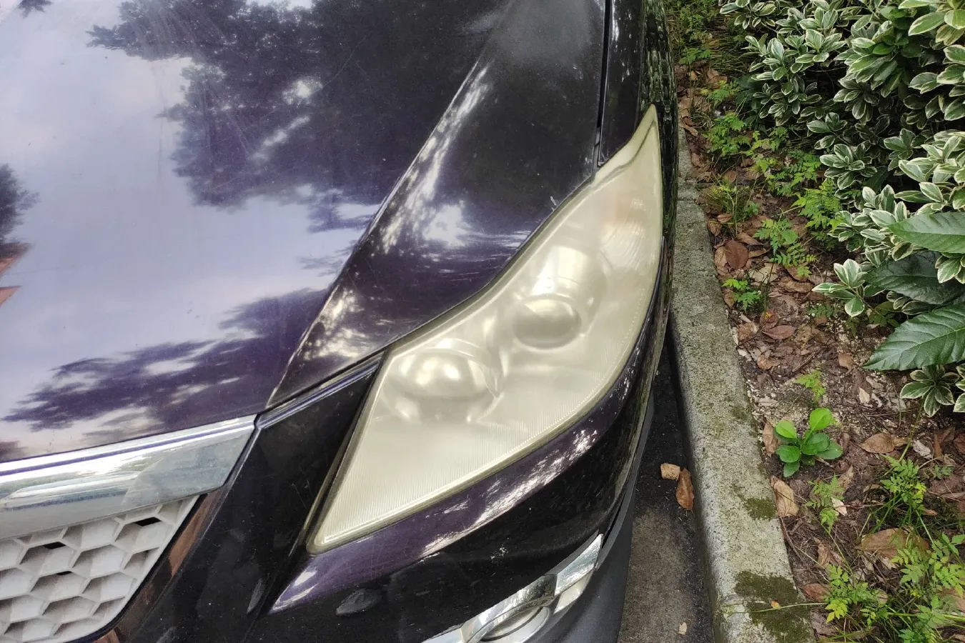 2012 HaiMa Preema 1.6L 120HP L4 5MT,autocango,china used car exporter,china ev exporter,chinese used car exporter,chinese used ev exporter