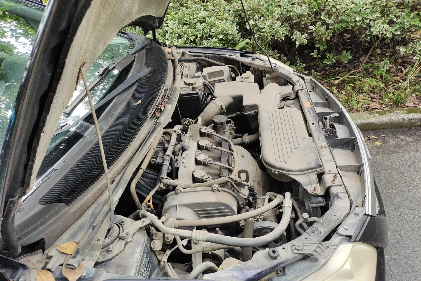 2012 HaiMa Preema 1.6L 120HP L4 5MT,autocango,china used car exporter,china ev exporter,chinese used car exporter,chinese used ev exporter