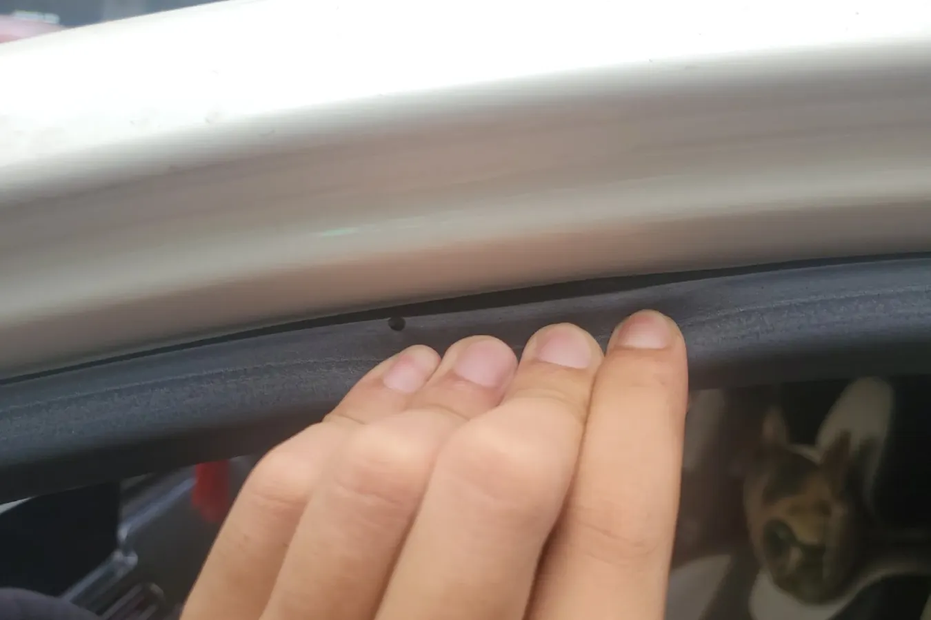 2017 BAIC WeiWang M60 1.5L 116HP L4 5MT,autocango,china used car exporter,china ev exporter,chinese used car exporter,chinese used ev exporter