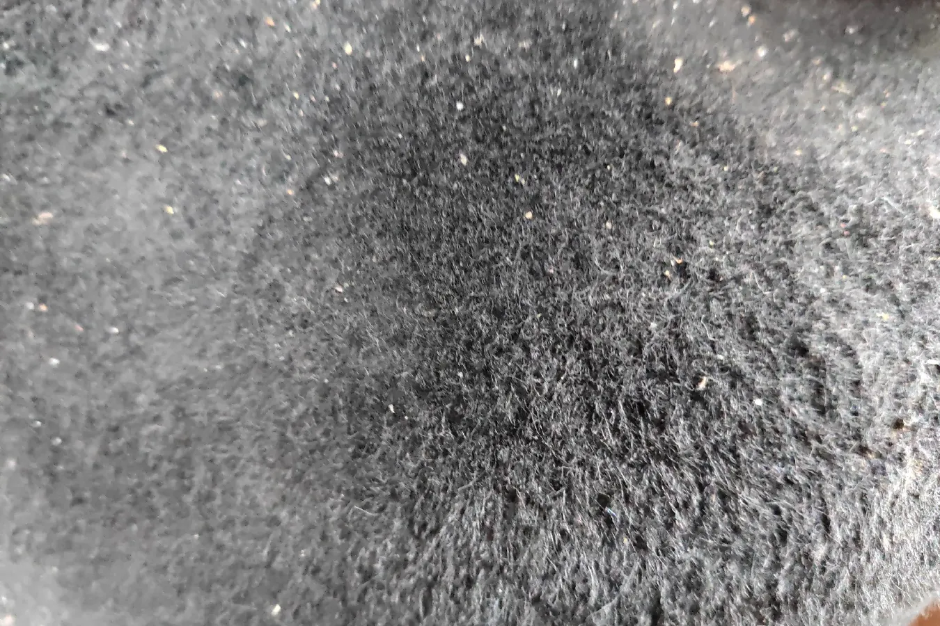 2015 LiFan LeTu 1.5L 109HP L4 5MT,autocango,china used car exporter,china ev exporter,chinese used car exporter,chinese used ev exporter