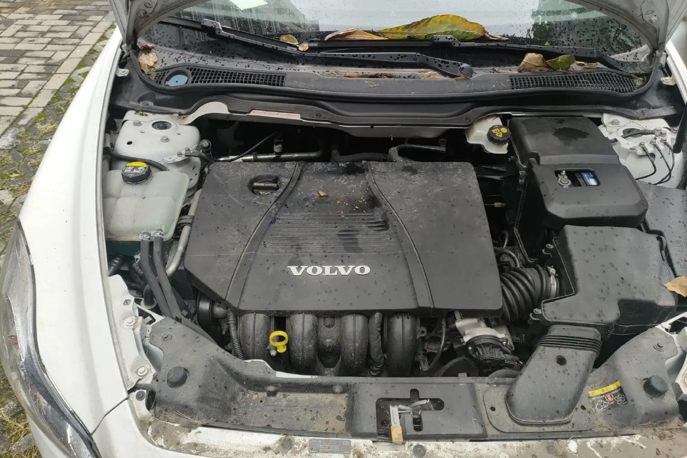 2010 Volvo C30 2.0L 145HP L4 6DCT,autocango,china used car exporter,china ev exporter,chinese used car exporter,chinese used ev exporter