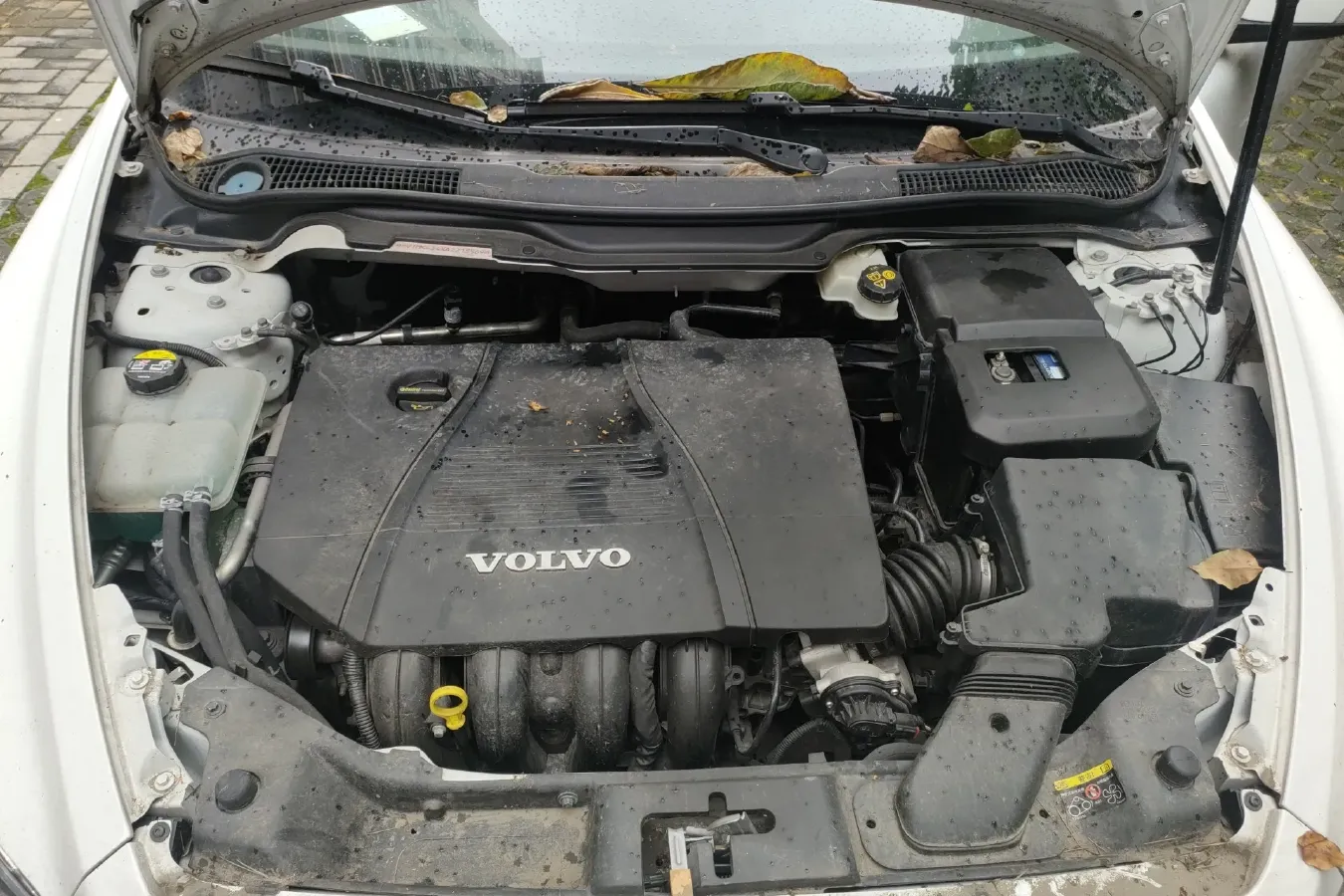 2010 Volvo C30 2.0L 145HP L4 6DCT,autocango,china used car exporter,china ev exporter,chinese used car exporter,chinese used ev exporter