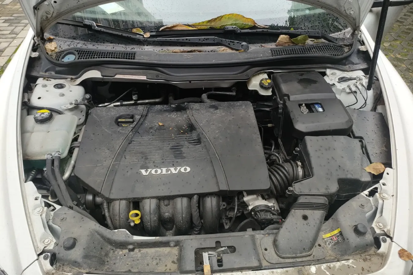 2010 Volvo C30 2.0L 145HP L4 6DCT,autocango,china used car exporter,china ev exporter,chinese used car exporter,chinese used ev exporter