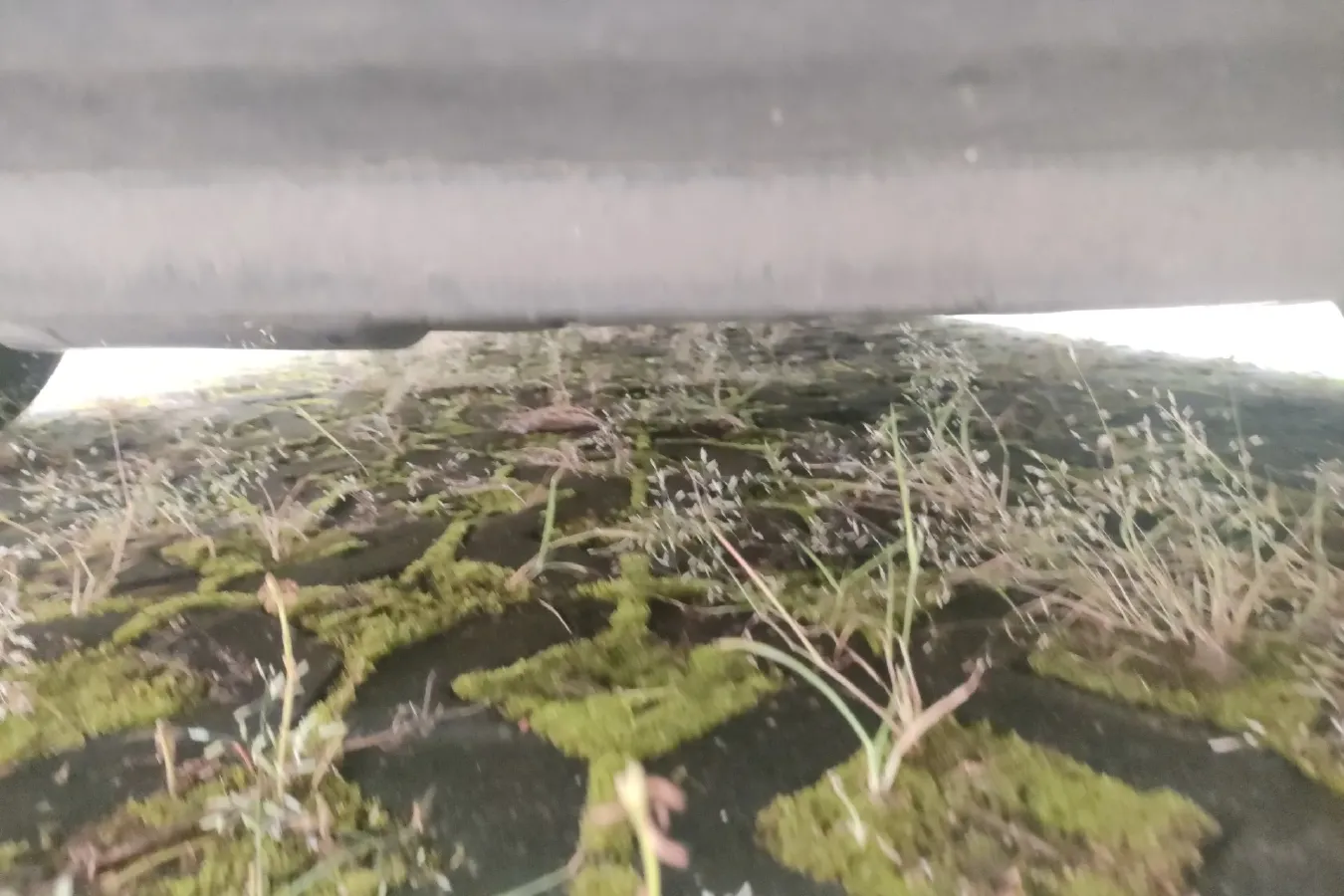 2010 Volvo C30 2.0L 145HP L4 6DCT,autocango,china used car exporter,china ev exporter,chinese used car exporter,chinese used ev exporter