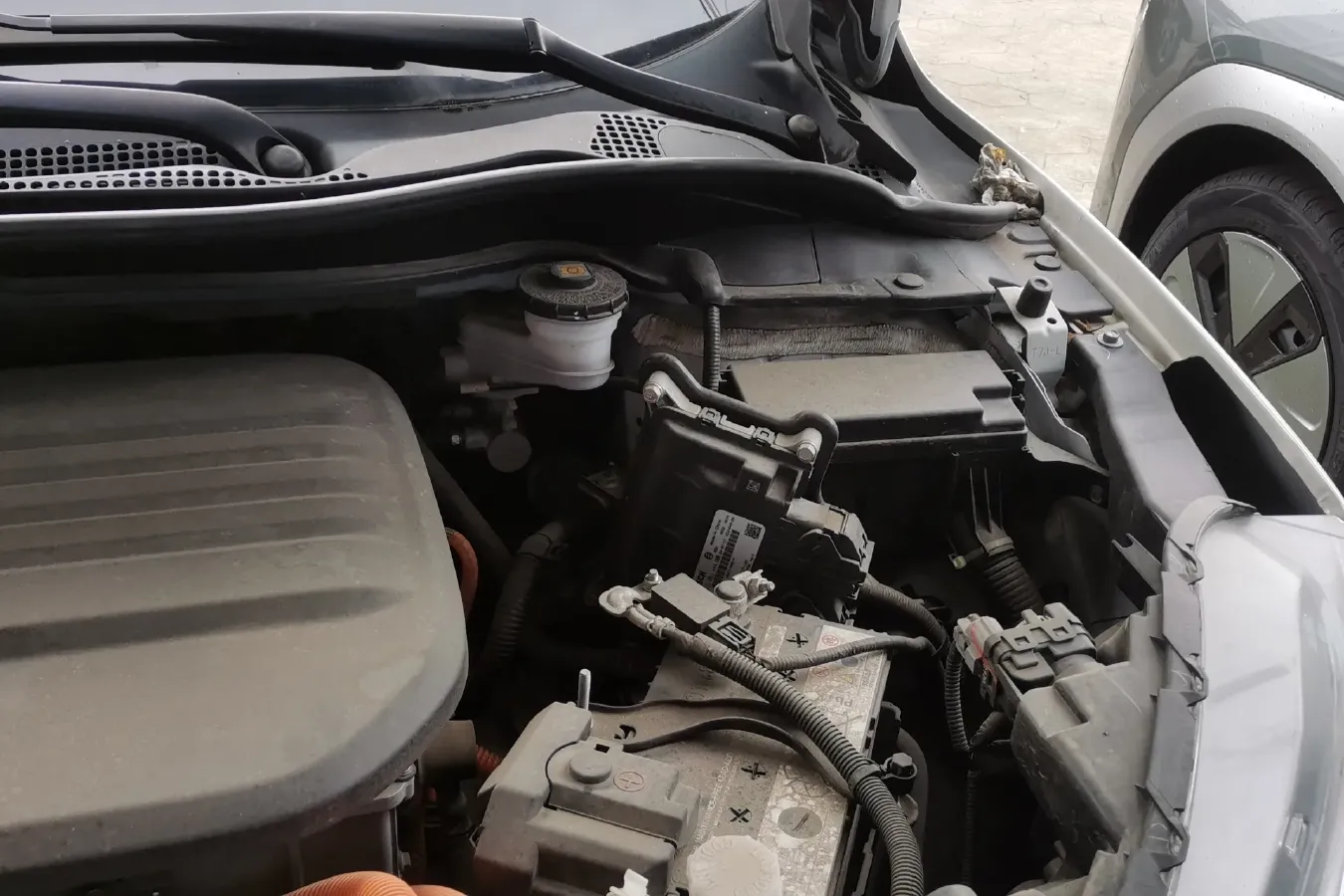 2020 Ciimo X-NV BEV 53.6KWH,autocango,china used car exporter,china ev exporter,chinese used car exporter,chinese used ev exporter