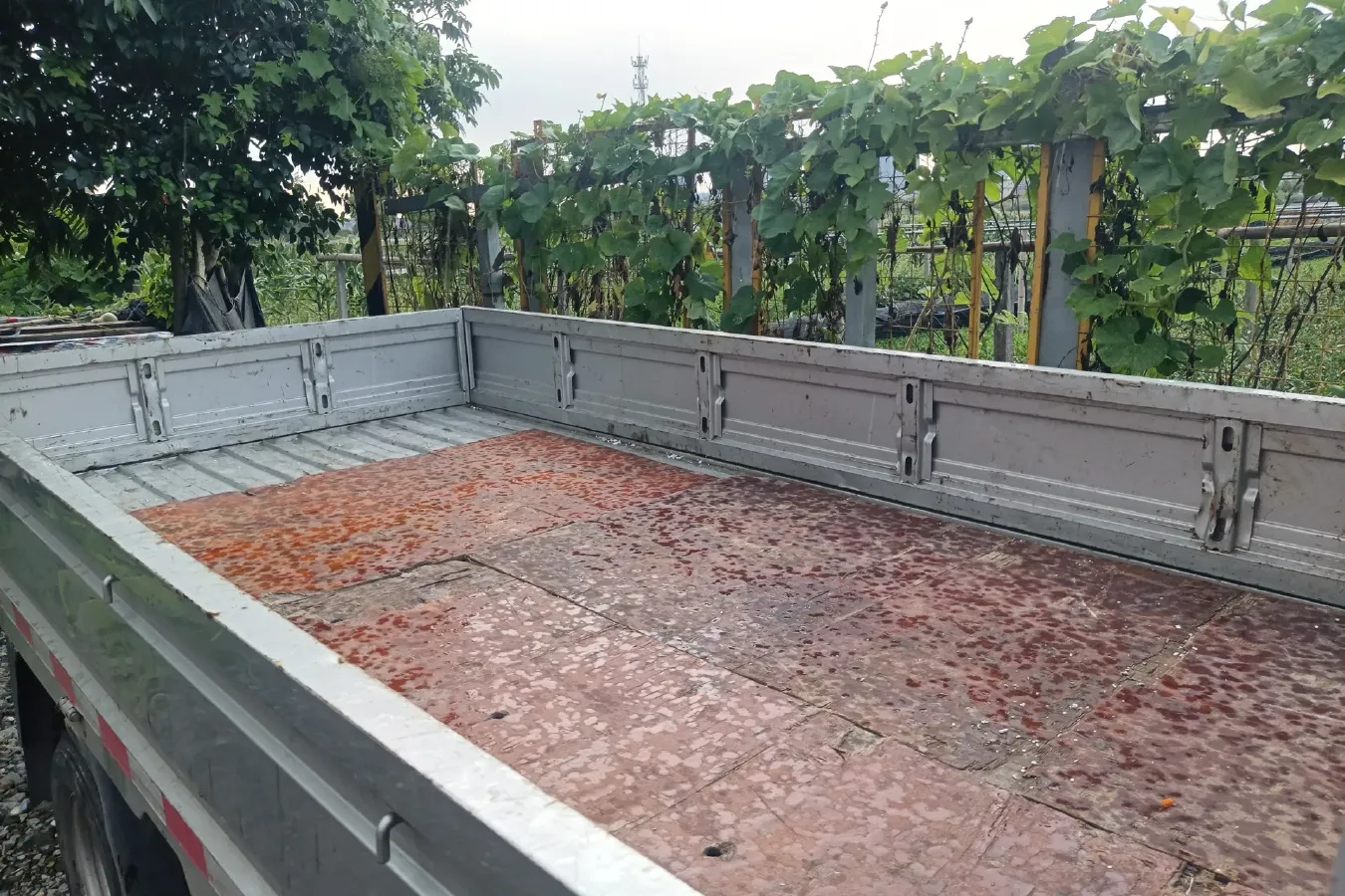 2022 Karry X6 1.6L 122HP L4 5MT,autocango,china used car exporter,china ev exporter,chinese used car exporter,chinese used ev exporter