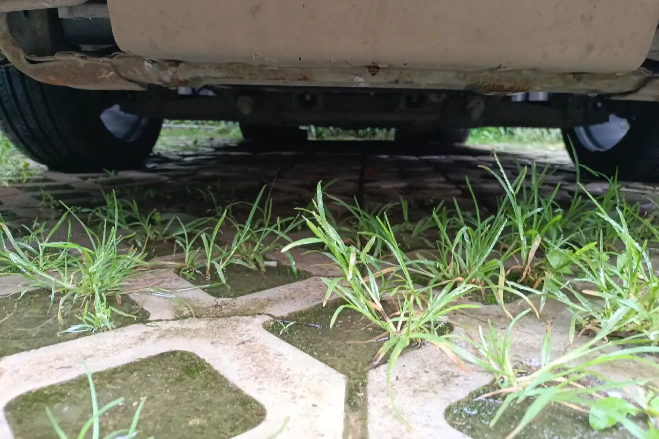 2017 Foton Scenery G7 2.0L 129HP L4 5MT,autocango,china used car exporter,china ev exporter,chinese used car exporter,chinese used ev exporter