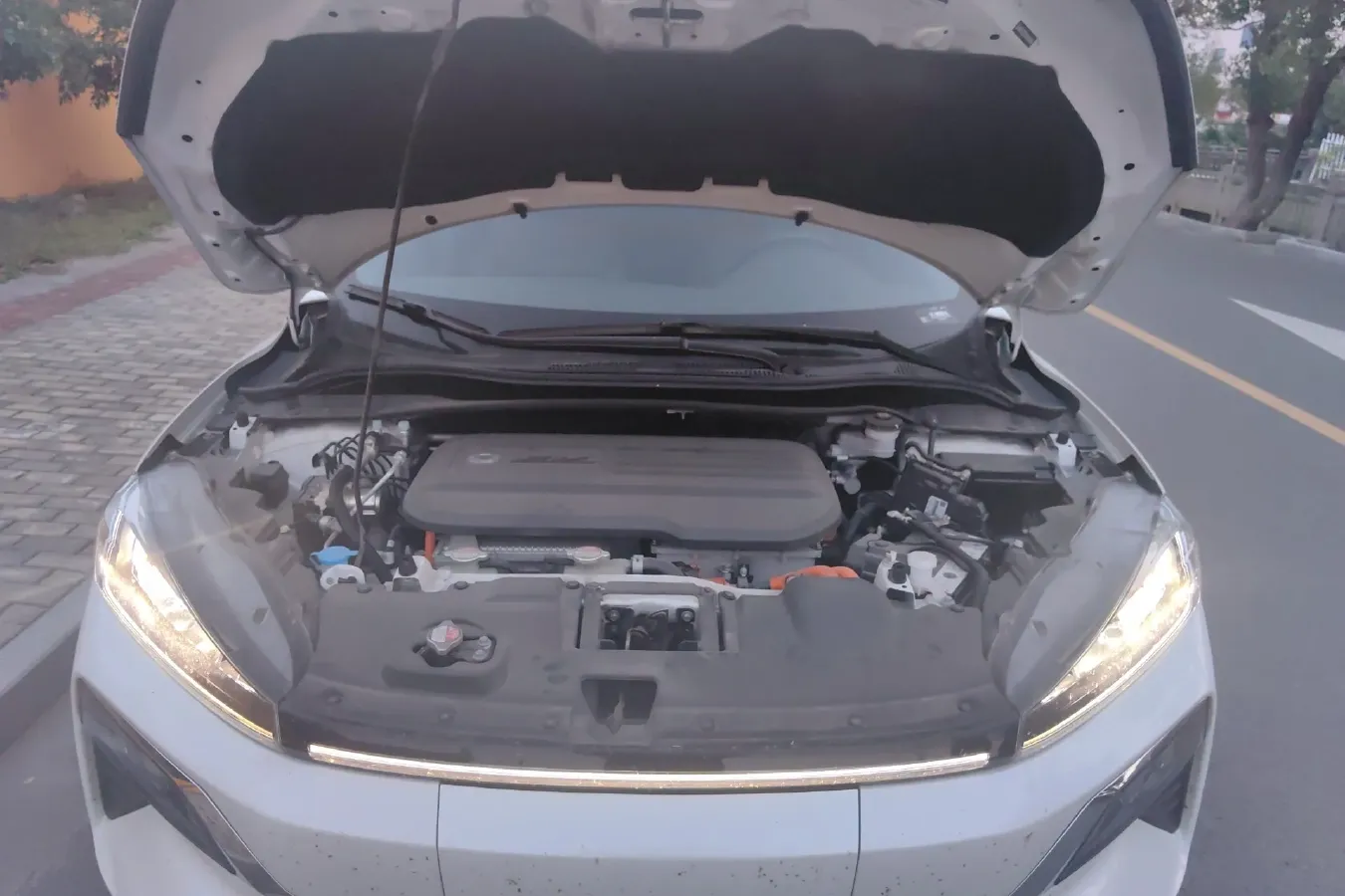 2021 Ciimo M-NV BEV 61.3KWH,autocango,china used car exporter,china ev exporter,chinese used car exporter,chinese used ev exporter