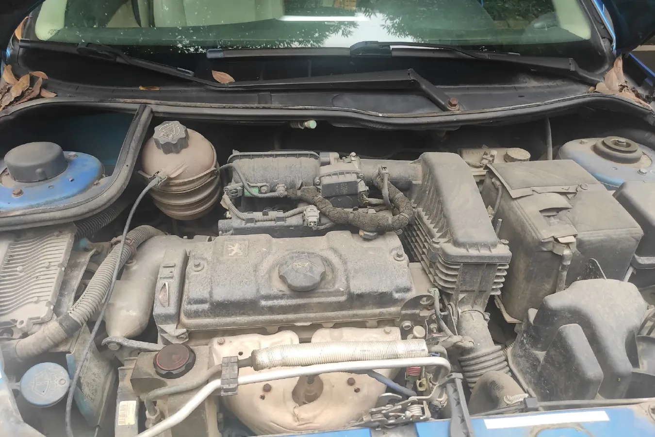 2009 Peugeot 207 1.4L 76HP L4 5MT,autocango,china used car exporter,china ev exporter,chinese used car exporter,chinese used ev exporter