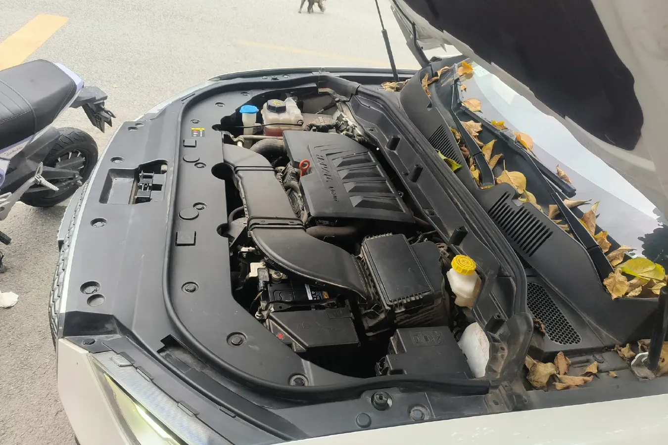 2019 Haval F5 1.5T 169HP L4 7DCT,autocango,china used car exporter,china ev exporter,chinese used car exporter,chinese used ev exporter