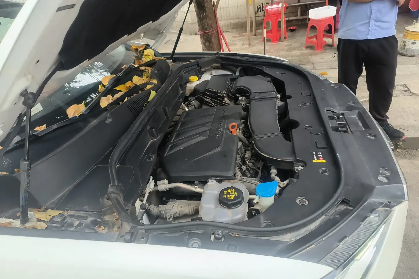 2019 Haval F5 1.5T 169HP L4 7DCT,autocango,china used car exporter,china ev exporter,chinese used car exporter,chinese used ev exporter