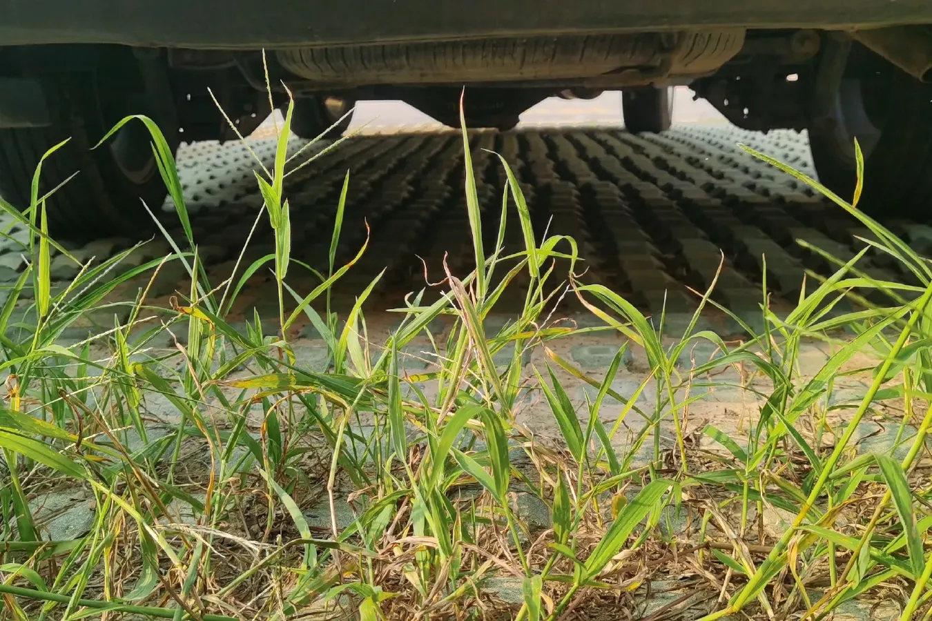 2015 BAIC Hyosow H3 1.5L 113HP L4 5MT,autocango,china used car exporter,china ev exporter,chinese used car exporter,chinese used ev exporter