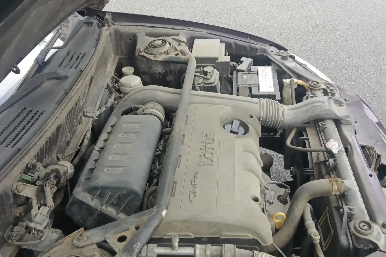 2010 Youngman Lotus L3 1.6L 111HP L4 5MT,autocango,china used car exporter,china ev exporter,chinese used car exporter,chinese used ev exporter