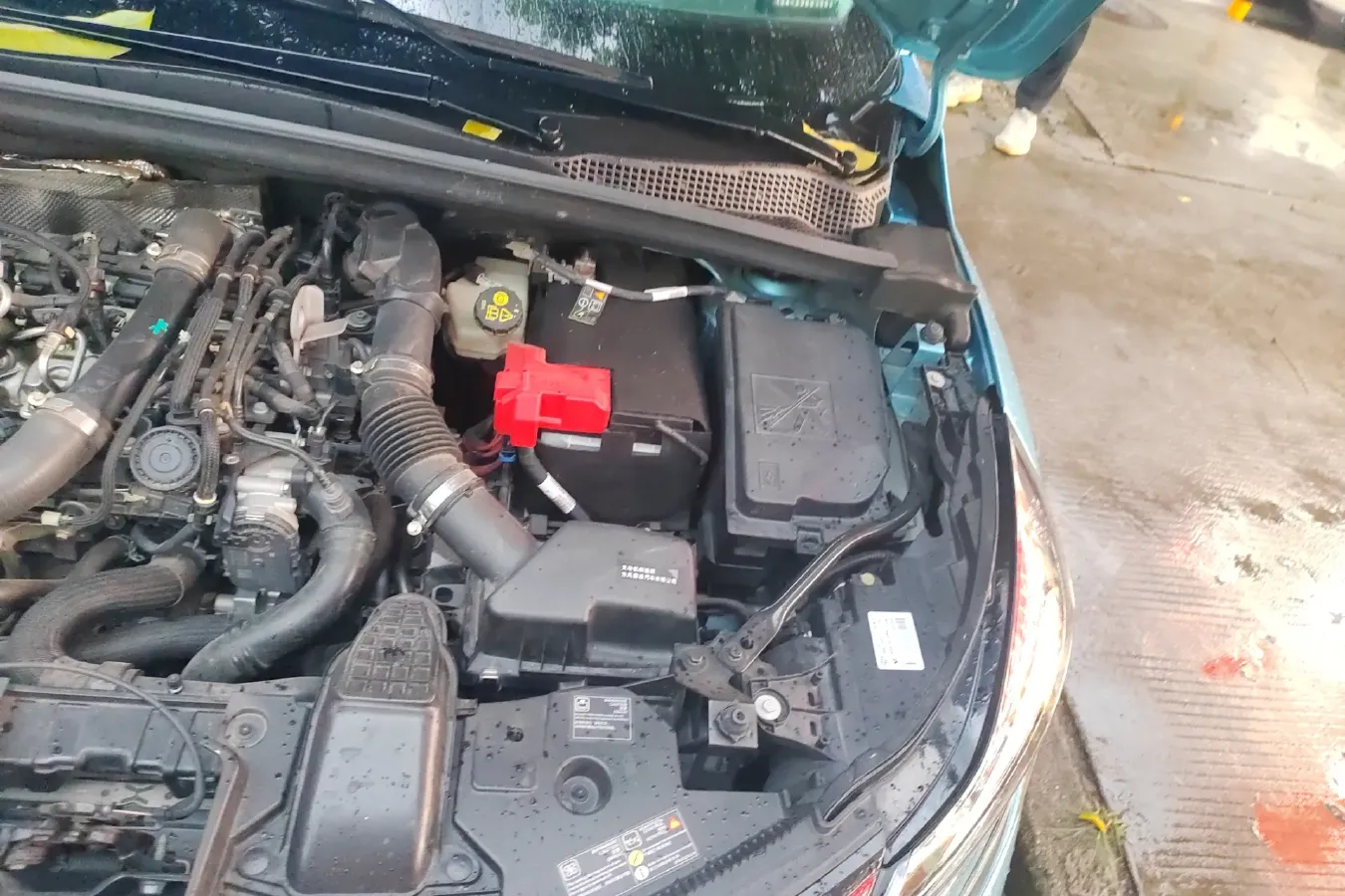 2019 Renault  Captur 1.3T 159HP L4 7DCT,autocango,china used car exporter,china ev exporter,chinese used car exporter,chinese used ev exporter