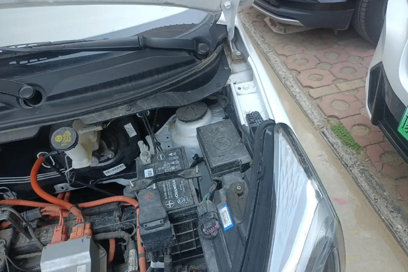 2023 ChangAn Oshan BenBen E-Star BEV 30.95KWH,autocango,china used car exporter,china ev exporter,chinese used car exporter,chinese used ev exporter