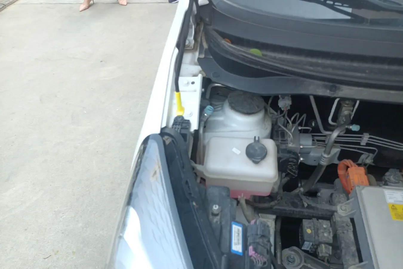 2023 ChangAn Oshan BenBen E-Star BEV 30.95KWH,autocango,china used car exporter,china ev exporter,chinese used car exporter,chinese used ev exporter