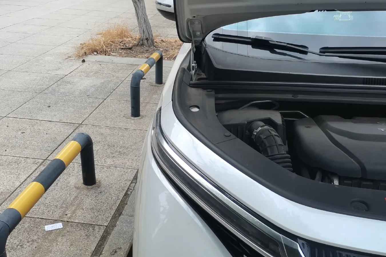 2019 BaoJun RM-5 1.5T 147HP L4 CVT,autocango,china used car exporter,china ev exporter,chinese used car exporter,chinese used ev exporter