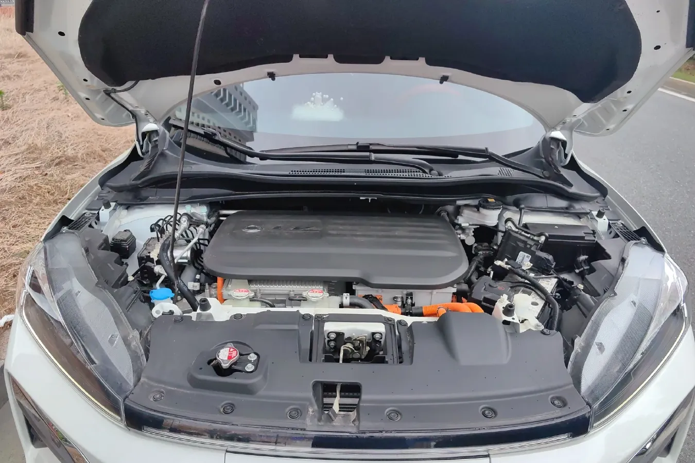 2021 Ciimo M-NV BEV 61.3KWH,autocango,china used car exporter,china ev exporter,chinese used car exporter,chinese used ev exporter