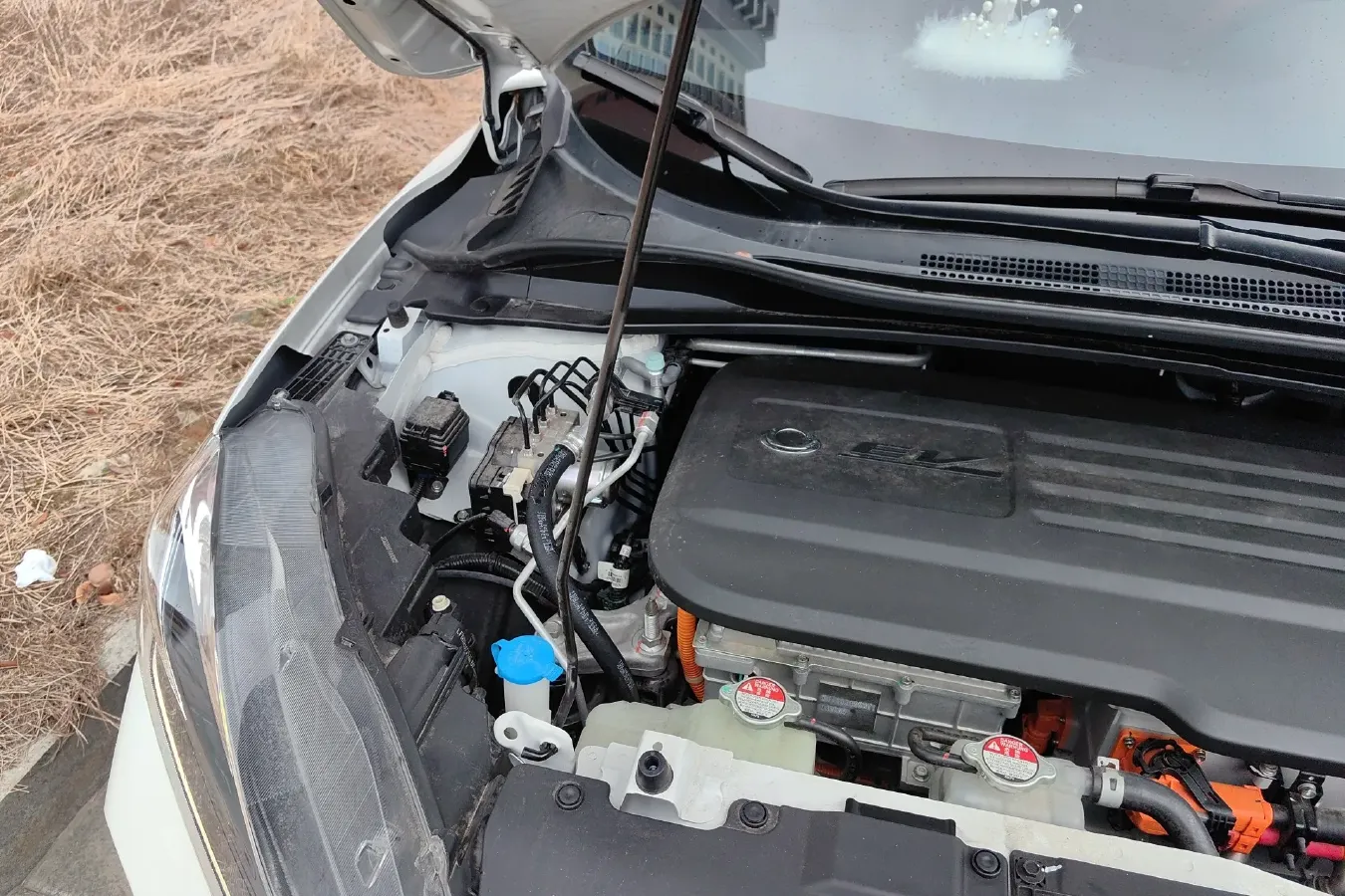 2021 Ciimo M-NV BEV 61.3KWH,autocango,china used car exporter,china ev exporter,chinese used car exporter,chinese used ev exporter