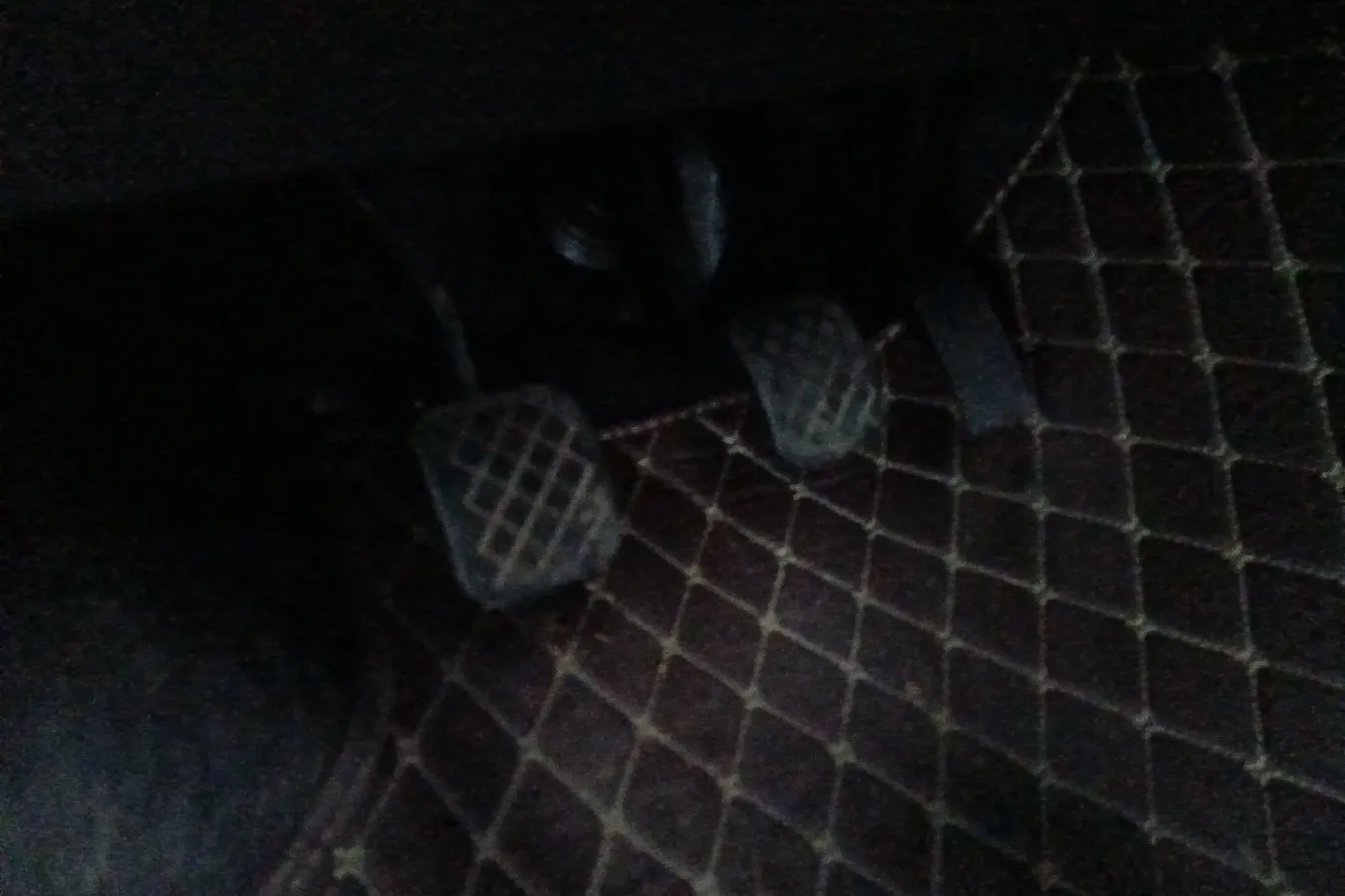 2021 JinBei Golden Sea Lion 1.5L 112HP L4 5MT,autocango,china used car exporter,china ev exporter,chinese used car exporter,chinese used ev exporter