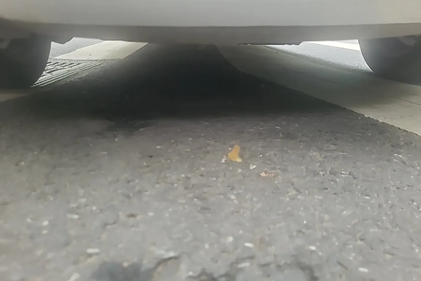 2010 BaoJun LeChi 1.2L 86HP L4 5MT,autocango,china used car exporter,china ev exporter,chinese used car exporter,chinese used ev exporter