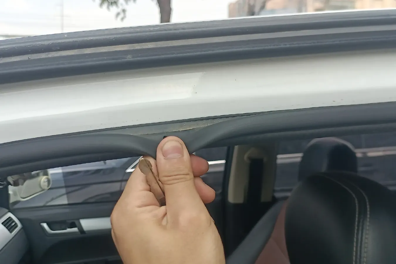 2019 ChangAn Kaicene ShenQi F30 1.5L 116HP L4 5MT,autocango,china used car exporter,china ev exporter,chinese used car exporter,chinese used ev exporter