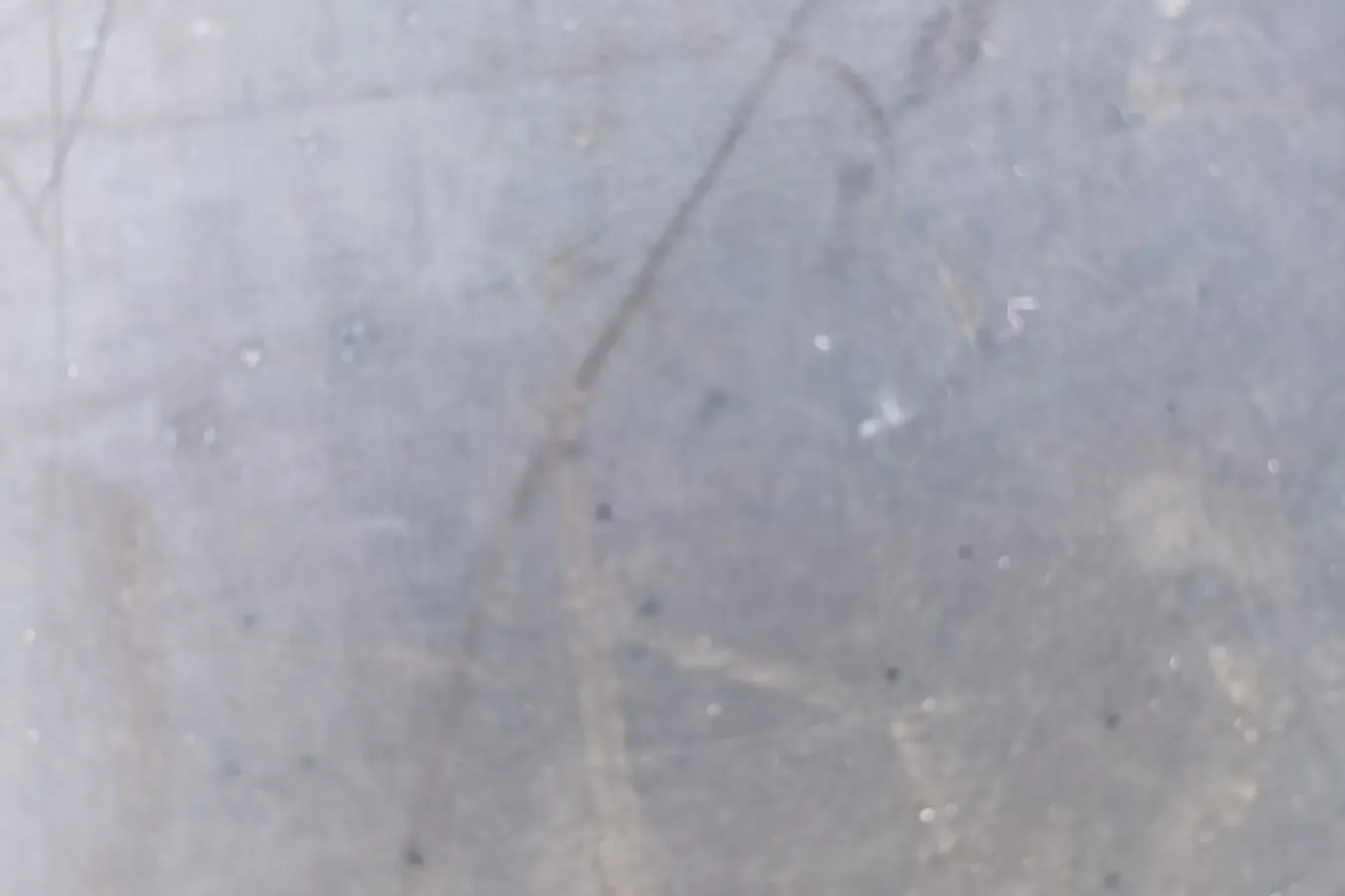 2021 ChangAn Kaicene ShenQi T30 1.6L 122HP L4 5MT,autocango,china used car exporter,china ev exporter,chinese used car exporter,chinese used ev exporter