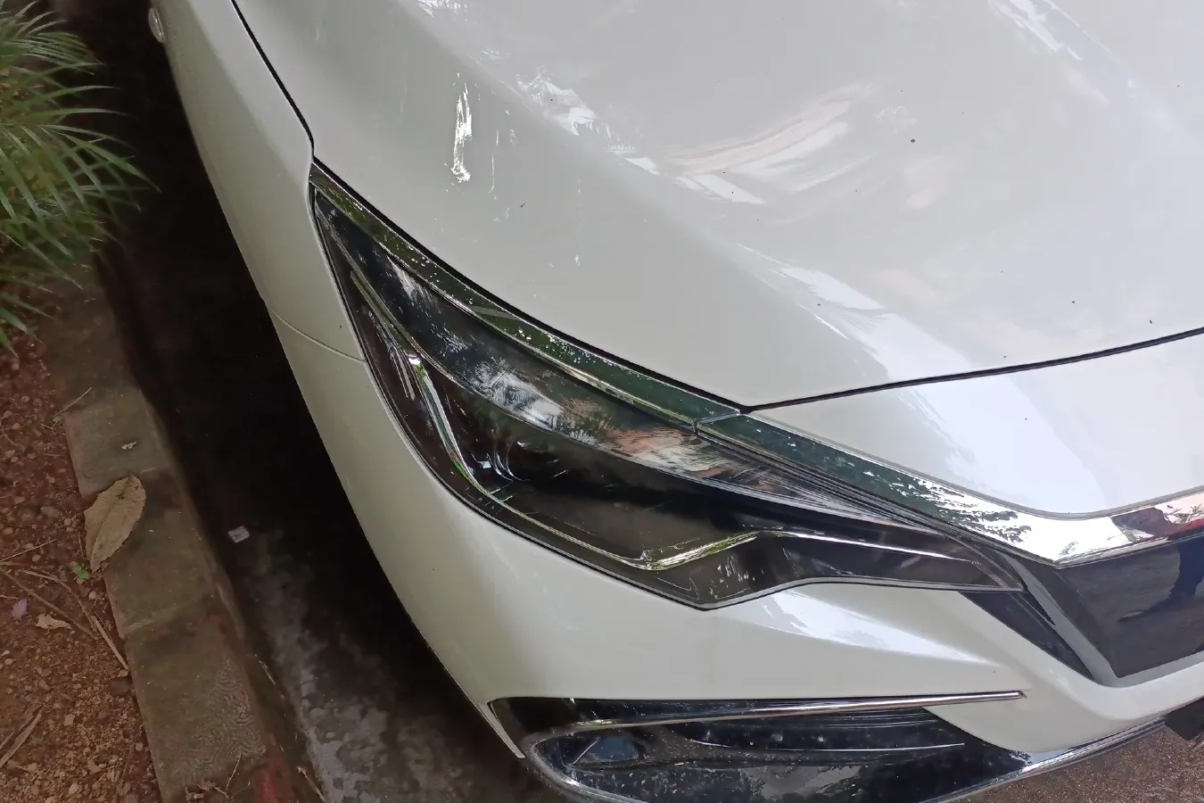 2023 Venucia D60 EV BEV 48KWH,autocango,china used car exporter,china ev exporter,chinese used car exporter,chinese used ev exporter