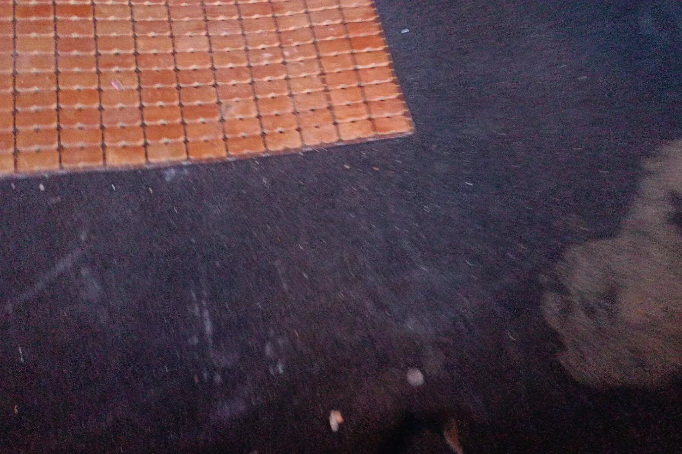 2015 BeiJing Auto Senova X25 1.5L 116HP L4 5MT,autocango,china used car exporter,china ev exporter,chinese used car exporter,chinese used ev exporter