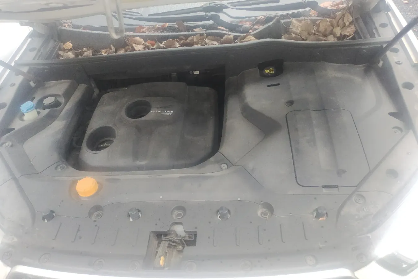 2020 ChangAn Oshan Cos 1.5T 178HP L4 6AT,autocango,china used car exporter,china ev exporter,chinese used car exporter,chinese used ev exporter